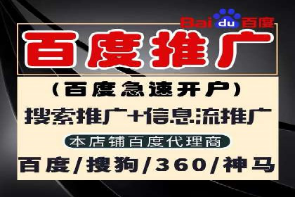搜索引擎营销（SEM）在本地市场的应用与效果——以某地区企业案例为证
