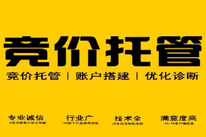 百度推广价格策略：成功案例分享